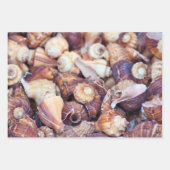 Papier für Ozeanfreunde! (Vorderseite 3)