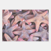 Papier für Ozeanfreunde! (Vorderseite 2)