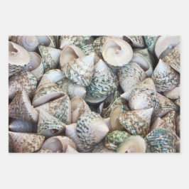 Papier für Ozeanfreunde!