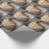 Papier für unschuldige Kitten Geschenkpapier (Ecke)