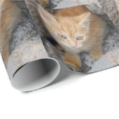 Papier für unschuldige Kitten Geschenkpapier (Rolleneckpunkt)