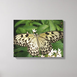 Papier Kite Butterfly Canvas drucken Leinwanddruck