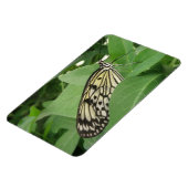 Papier Kite Butterfly Macro Flexi Magnet (Linke Seite)