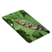 Papier Kite Butterfly Macro Flexi Magnet (Rechte Seite)
