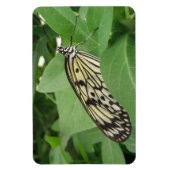 Papier Kite Butterfly Macro Flexi Magnet (Vertikal)