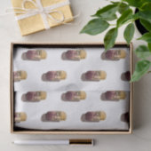 Papier lindert mit Aquarell des Korks des Weins (Geschenk)