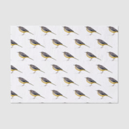 Papier lindert mit Aquarell des Wäschers cascadeña