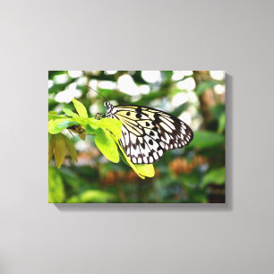 Papier-Schmetterling Leinwanddruck