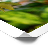 Papier-Schmetterling Poster (Ecke)