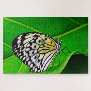 Papier-Schmetterling. Puzzle