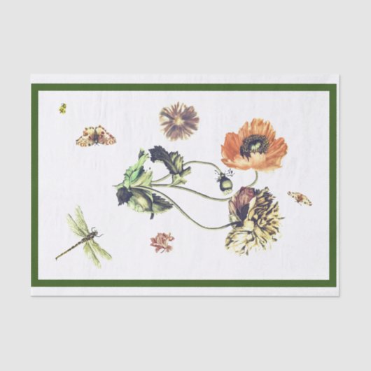 PAPIER UND INSEKTIONEN (Vorderseite)