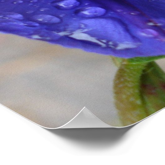 Papier und Kunst Poster (Ecke)