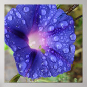 Papier und Kunst Poster (Vorne)