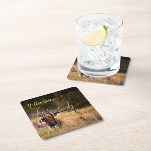 Papier-Untersetzer-Set-Gelbstein-Elch Rechteckiger Pappuntersetzer (Vor Ort)