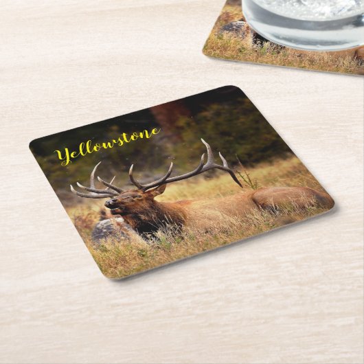 Papier-Untersetzer-Set-Gelbstein-Elch Rechteckiger Pappuntersetzer (angewinkelt)