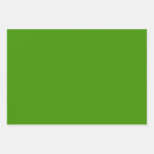 Papier zum grünen Umschlag von Denim Blue und Gras (Vorderseite 2)