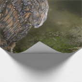 Papier zum Umhüllen von Barren Geschenkpapier (Ecke)