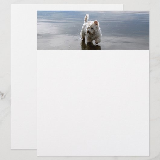 Papier zur Reflektionsarbeit für Beach Westis Briefbogen (Vorne/Hinten)