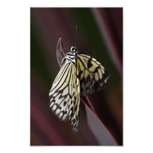 Papieranzug auf lila fotodruck
