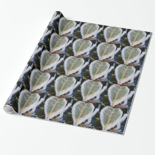 Papierblatt mit Eis Geschenkpapier