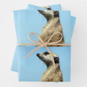 Papierblätter aus Méerkat Geschenkpapier Set (Beispiel)