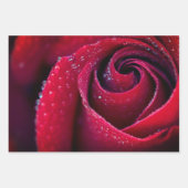 Papierblätter für Blumenbearbeitung Geschenkpapier Set (Vorderseite 3)