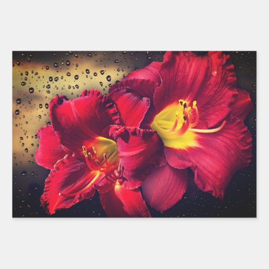 Papierblätter für Blumenbearbeitung Geschenkpapier Set (Vorderseite 2)