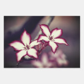 Papierblätter für Blumenbearbeitung Geschenkpapier Set (Vorderseite)