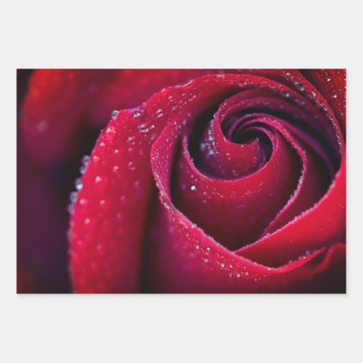 Papierblätter für Blumenbearbeitung Geschenkpapier Set (Vorderseite 3)