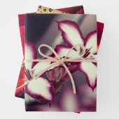 Papierblätter für Blumenbearbeitung Geschenkpapier Set (Beispiel)