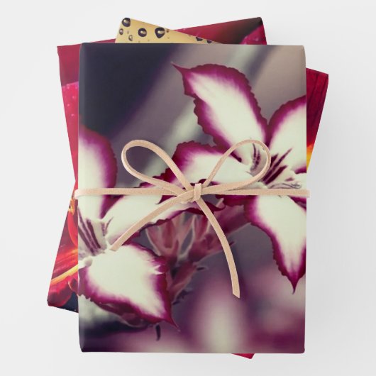 Papierblätter für Blumenbearbeitung Geschenkpapier Set (Beispiel)