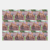 Papierblätter für Dinosaurier - 3 Designs Geschenkpapier Set (Vorderseite 2)