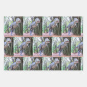 Papierblätter für Dinosaurier - 3 Designs Geschenkpapier Set (Vorderseite)