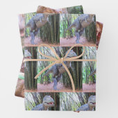 Papierblätter für Dinosaurier - 3 Designs Geschenkpapier Set (Beispiel)