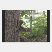 Papierblätter für Eichhörnchen Geschenkpapier Set (Vorderseite 3)