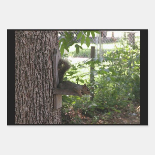 Papierblätter für Eichhörnchen Geschenkpapier Set (Vorderseite 3)