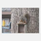 Papierblätter für Eichhörnchen Geschenkpapier Set (Vorderseite 2)