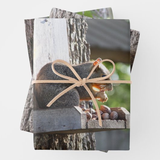 Papierblätter für Eichhörnchen Geschenkpapier Set (Beispiel)