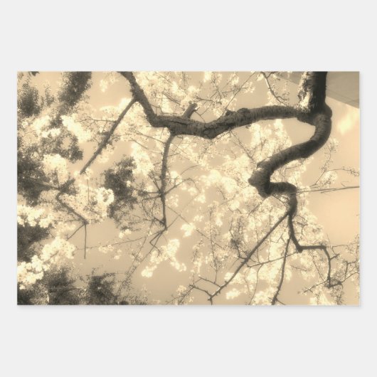 Papierblätter für japanische Flora Geschenkpapier Set