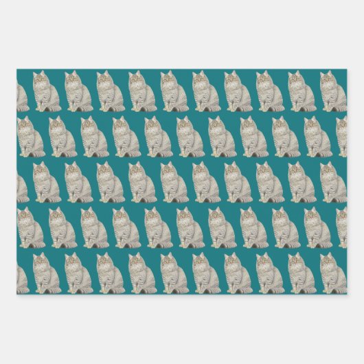 Papierblätter für Katzen Geschenkpapier Set (Vorderseite 3)