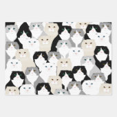 Papierblätter für Katzen und Katzen Geschenkpapier Set (Vorderseite 2)
