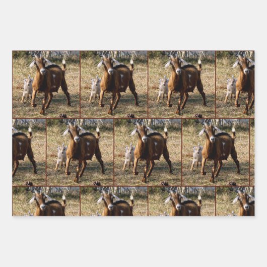 Papierblätter für Mama- und Kid-Ziegen Geschenkpapier Set (Vorderseite 3)