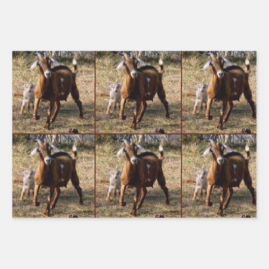 Papierblätter für Momma- und Kid-Ziegen Geschenkpapier Set (Vorderseite)