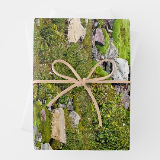 Papierblätter für Moosverpackungen Geschenkpapier Set (Beispiel)