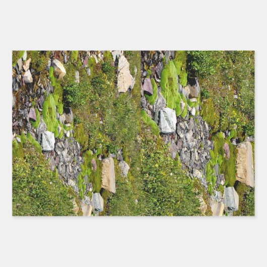 Papierblätter für Moosverpackungen Geschenkpapier Set (Vorderseite)