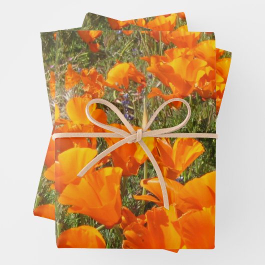 Papierblätter für Pflaumen aus Kalifornien Geschenkpapier Set (Beispiel)