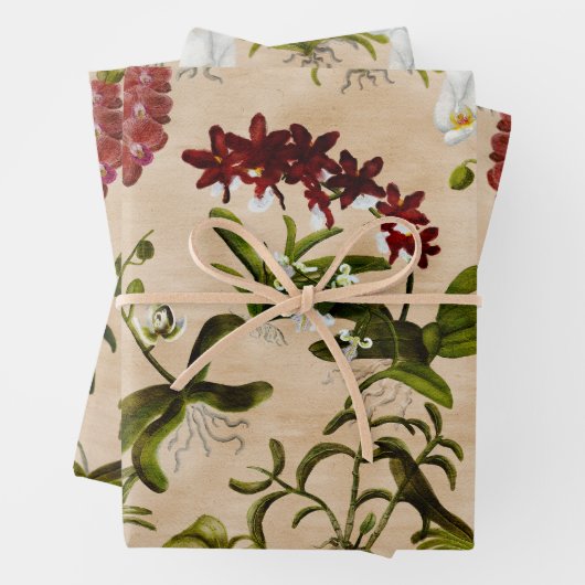 Papierblätter - Muster für Orchideen in Biege Geschenkpapier Set (Beispiel)