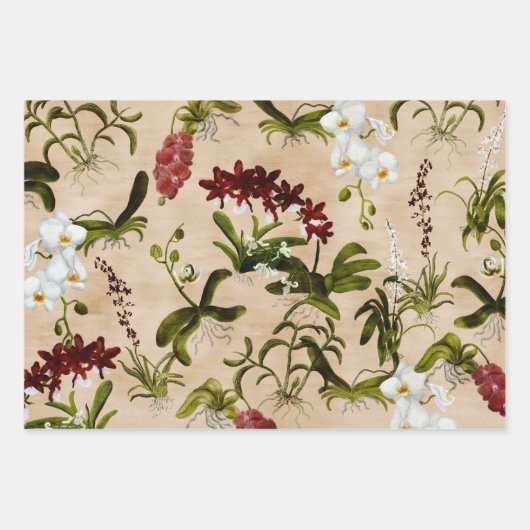 Papierblätter - Muster für Orchideen in Biege Geschenkpapier Set (Vorderseite)