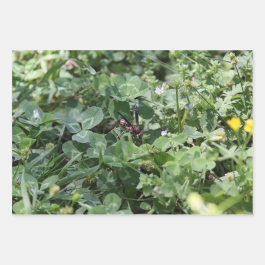 Papierblätter zum Abwasch Geschenkpapier Set (Vorderseite 3)