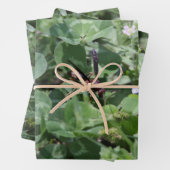 Papierblätter zum Abwasch Geschenkpapier Set (Beispiel)